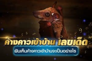ค้างคาวเข้าบ้าน-เลขเด็ด
